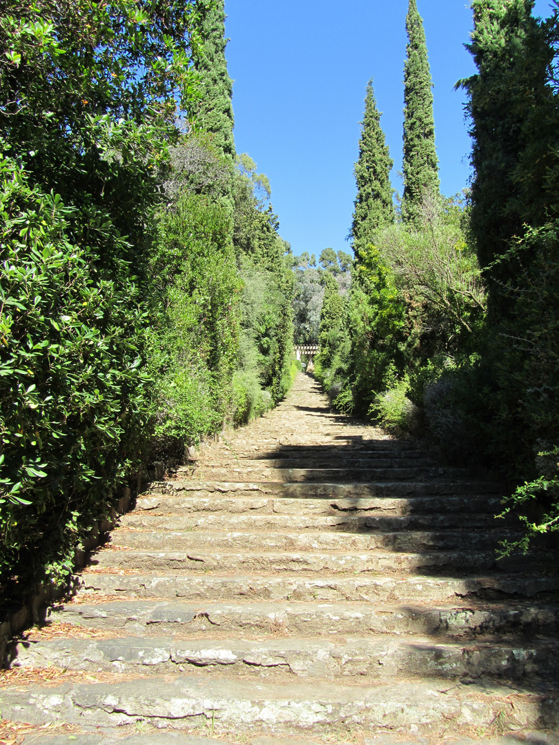 Treppe nach oben