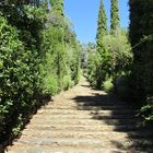 Treppe nach oben