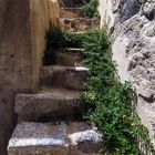 Treppe, naturbelassen