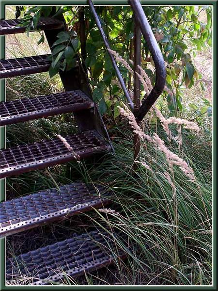 Treppe und Natur