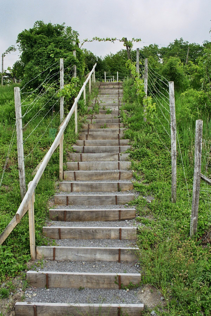 Treppe - wohin?