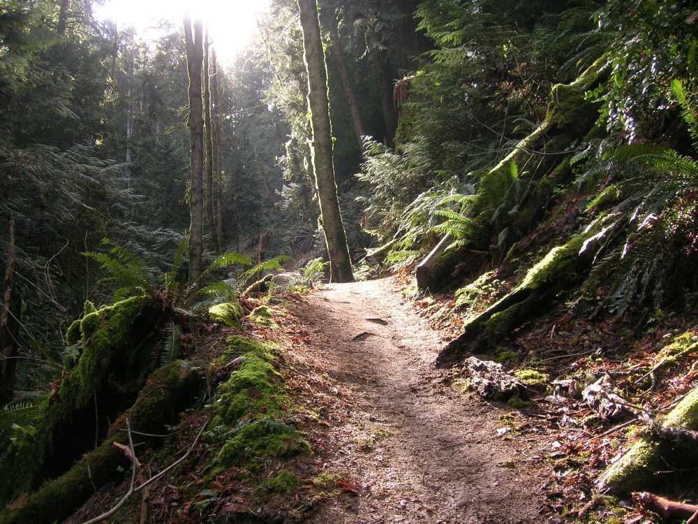 Treppe zu Sonnenlicht