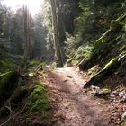 Treppe zu Sonnenlicht