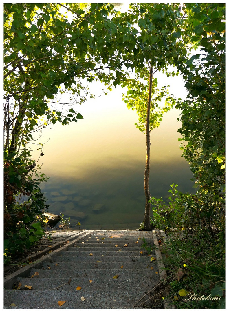 Treppe zum Hafen Wasser