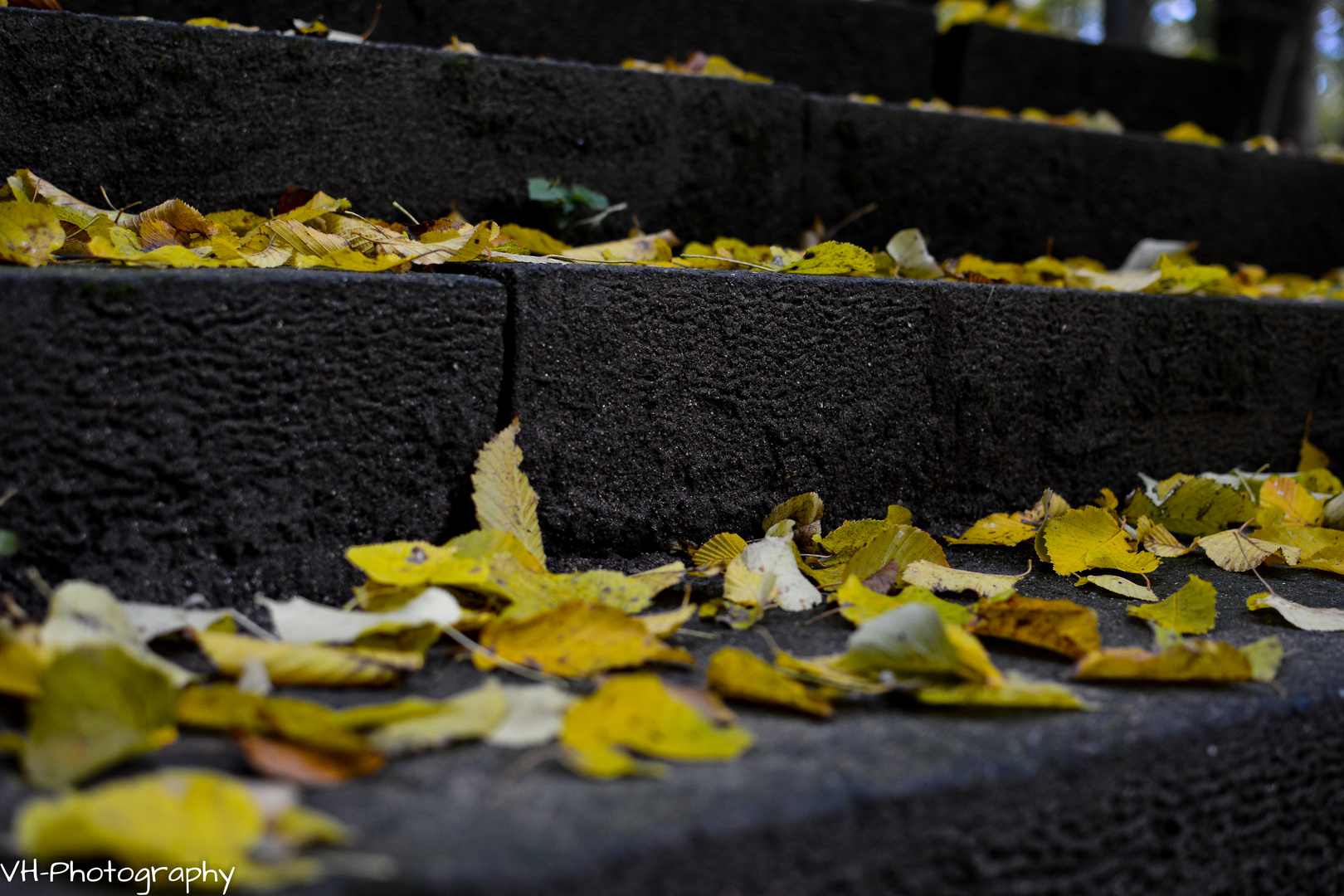 Treppe zum Herbst