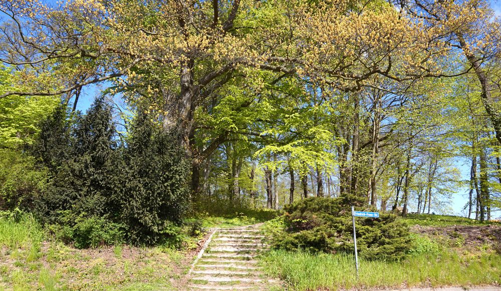 Treppe zum kleinen Park