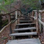 Treppe zum Königstuhl