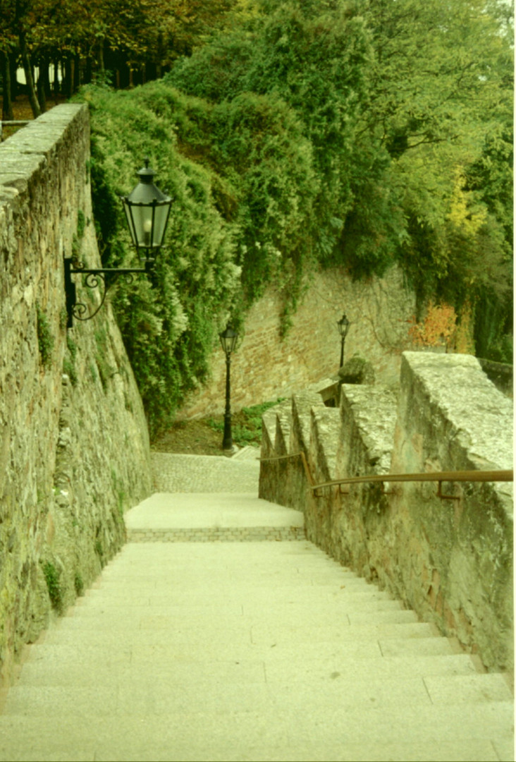 Treppe zum Mainufer