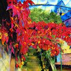 Treppe zum Schloss Aschaffenburg mit Wildem Wein in AK_inspire