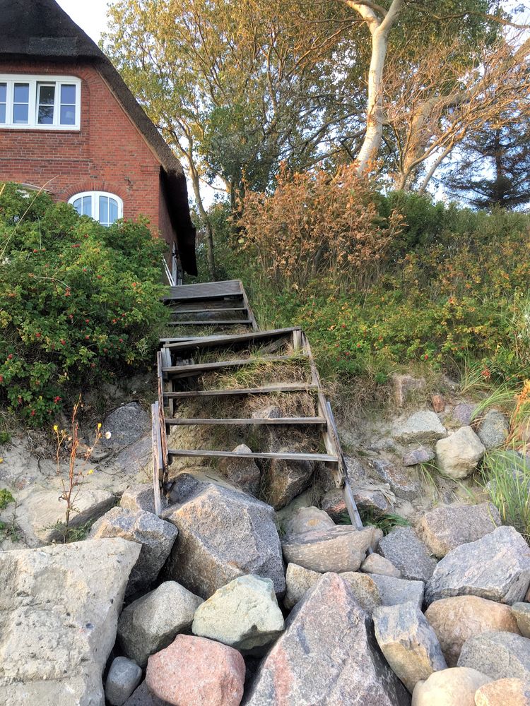 Treppe zum Strandhaus