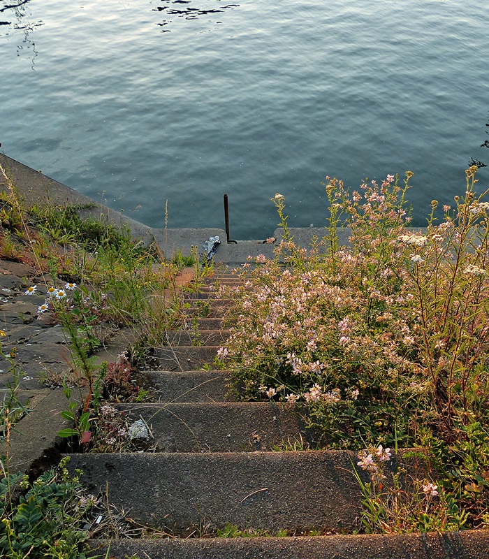 Treppe zum Wasser !