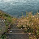 Treppe zum Wasser !