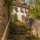 Treppe zur Burg I - Waischenfeld/fränkische Schweiz