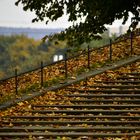 Treppe zur Jungfernbastei