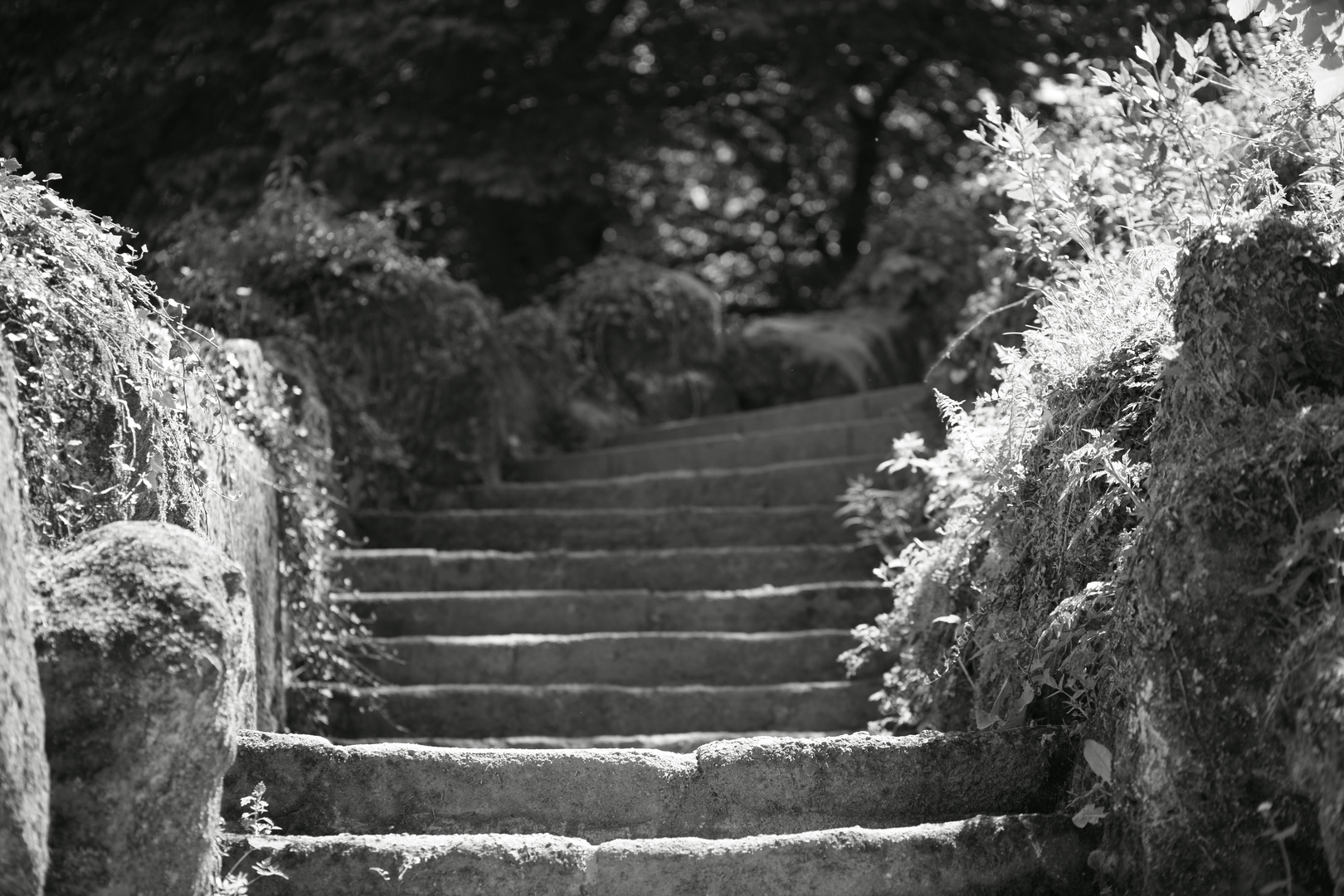 Treppe zur Löwenburg