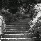 Treppe zur Löwenburg