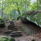 Treppe zur Natur