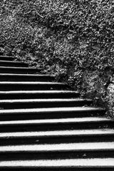 Treppe/Hecke 1