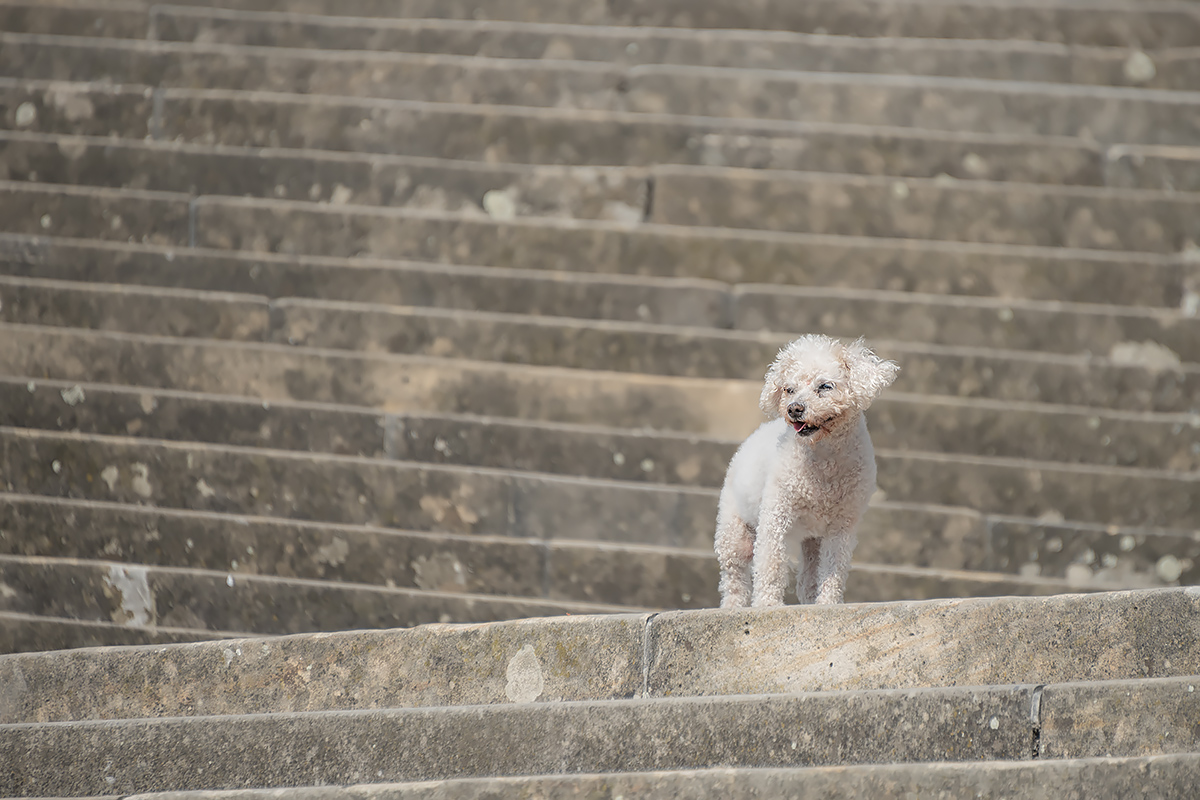 Treppen all around