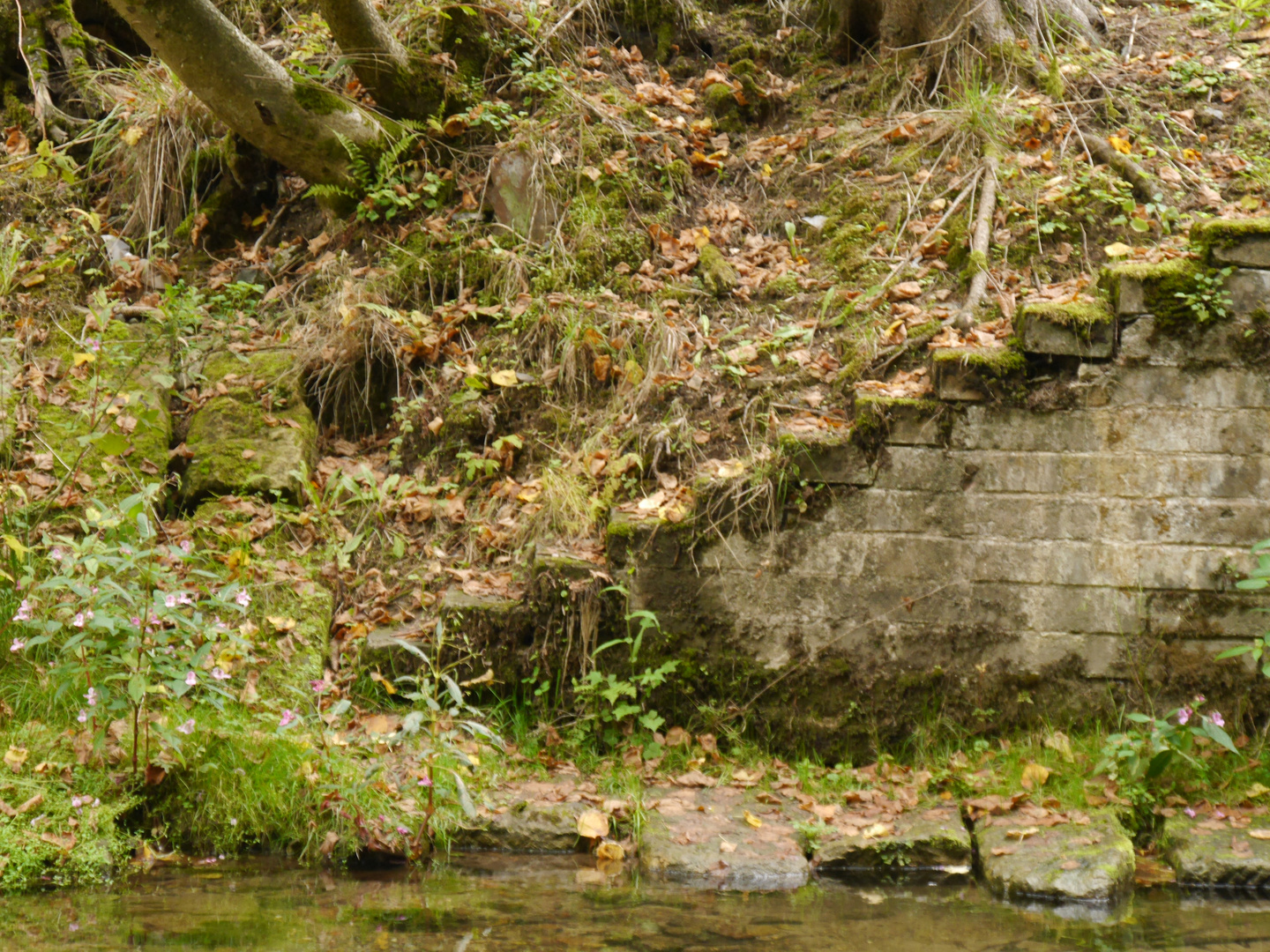 Treppen an Wanderwegen