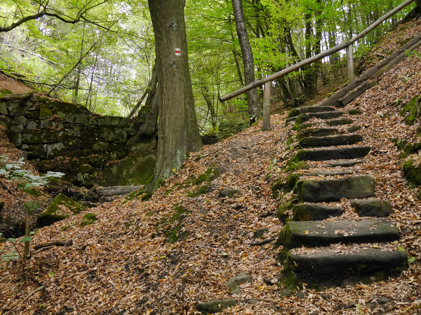 Treppen an Wanderwegen