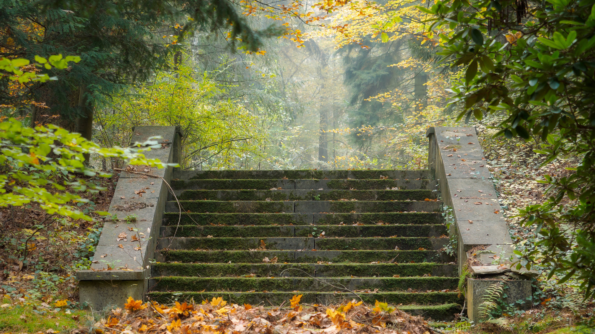 Treppen