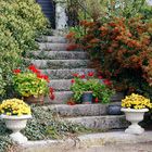 Treppen im Herbst