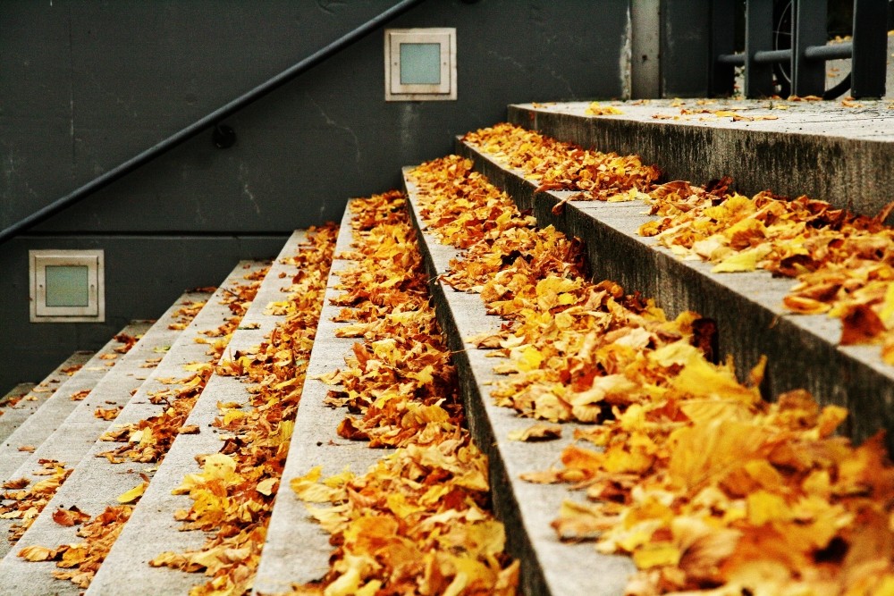 Treppen im Herbst (a.d. Oder)