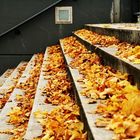 Treppen im Herbst (a.d. Oder)