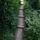 Treppen im Schlossgarten, Aschaffenburg (Unterfranken)