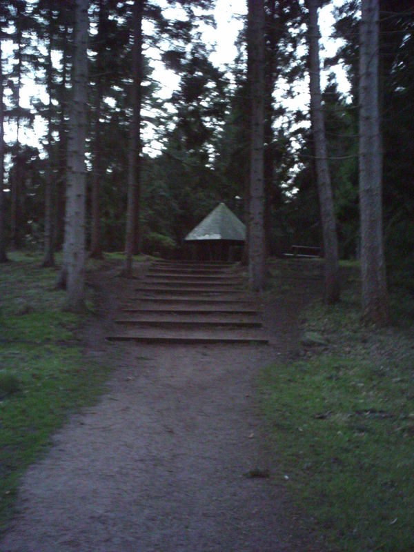 Treppen im Wald