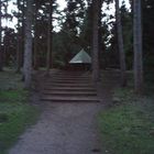 Treppen im Wald