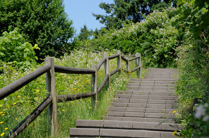 Treppen ins grüne