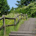 Treppen ins grüne