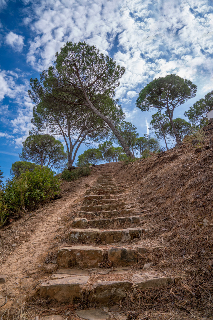 Treppen zum Himmel