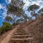 Treppen zum Himmel