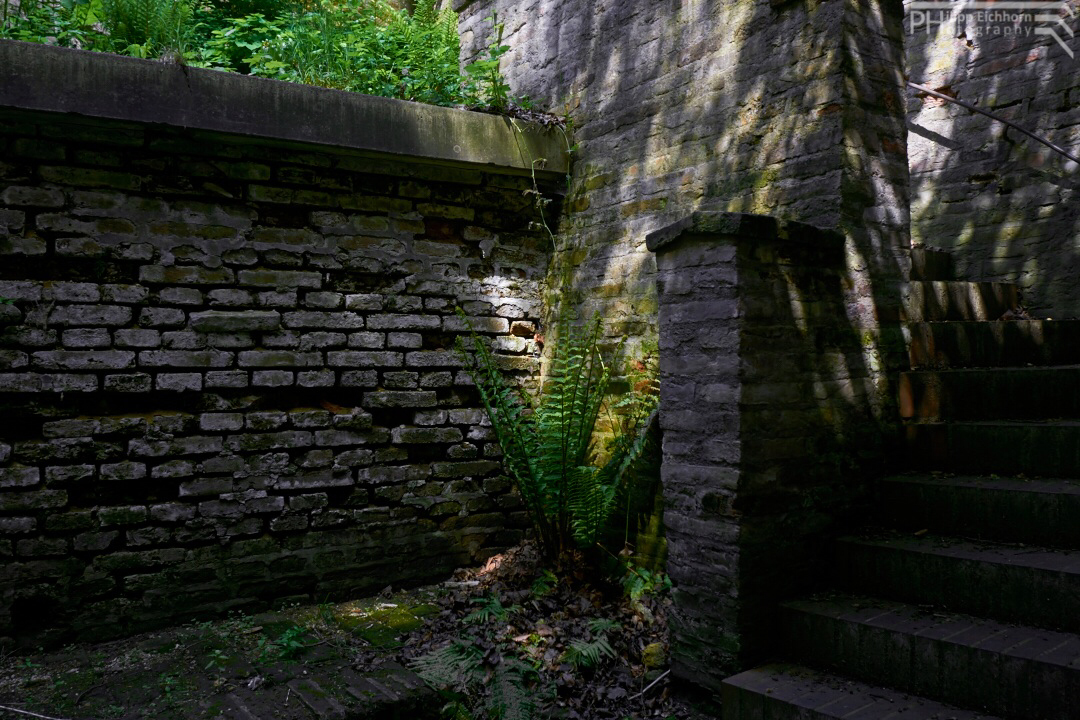 Treppenaufgang bei alter Mauer