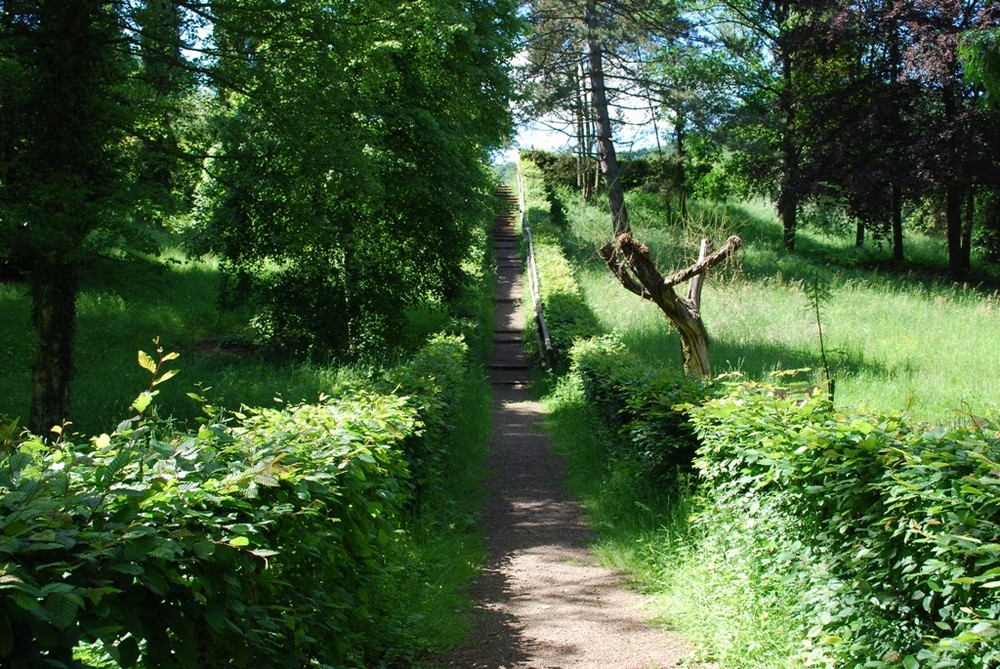 Treppenaufgang im Wald Weißhaus