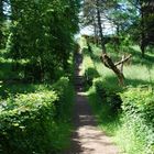 Treppenaufgang im Wald Weißhaus