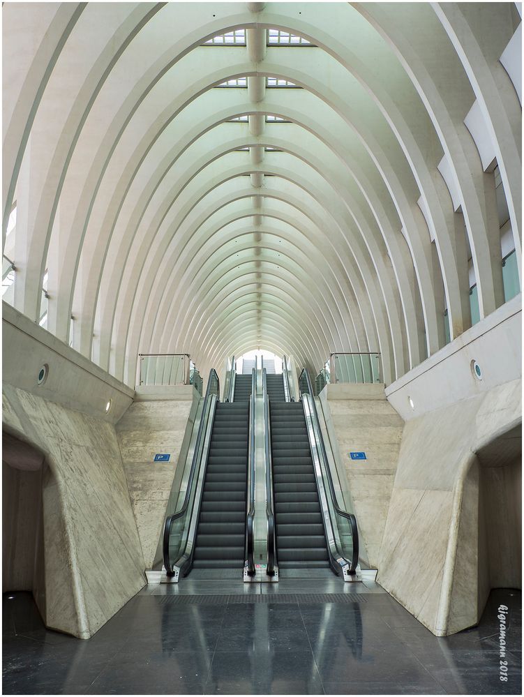 treppenaufgang.....liège-guillemins...... 