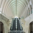 treppenaufgang.....liège-guillemins...... 