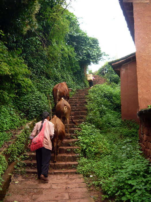 Treppensteigen in den Bergen bei Heijing (Yunnan)