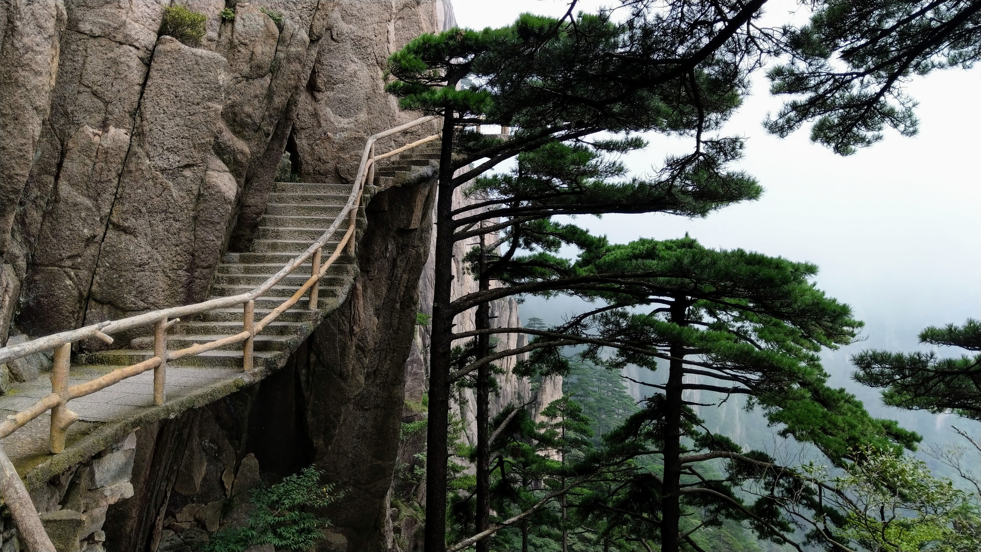 Treppenstufen und Kiefern am Gelben Gebirge