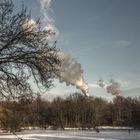 Treptower Karpfenteich mit Wolkenfabrik