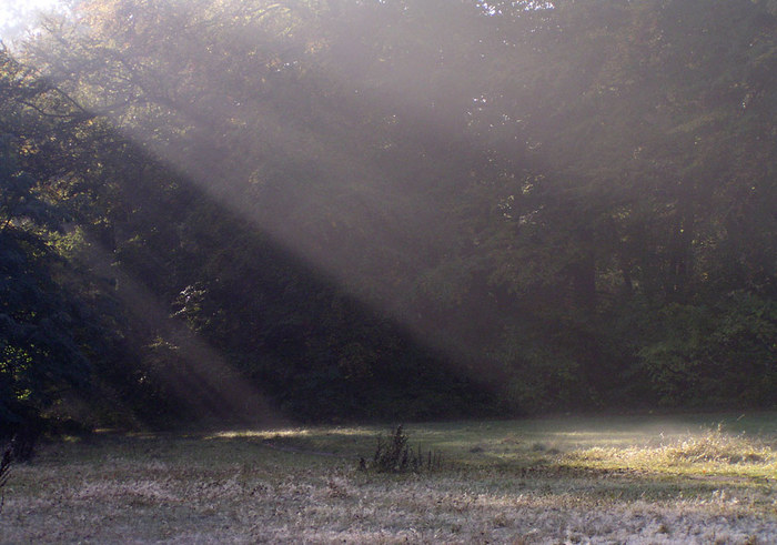 treptower park heut früh