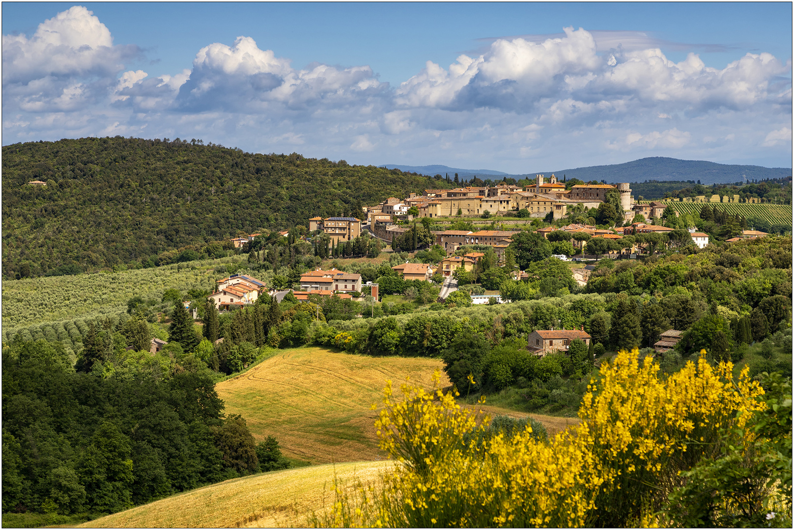 Trequanda