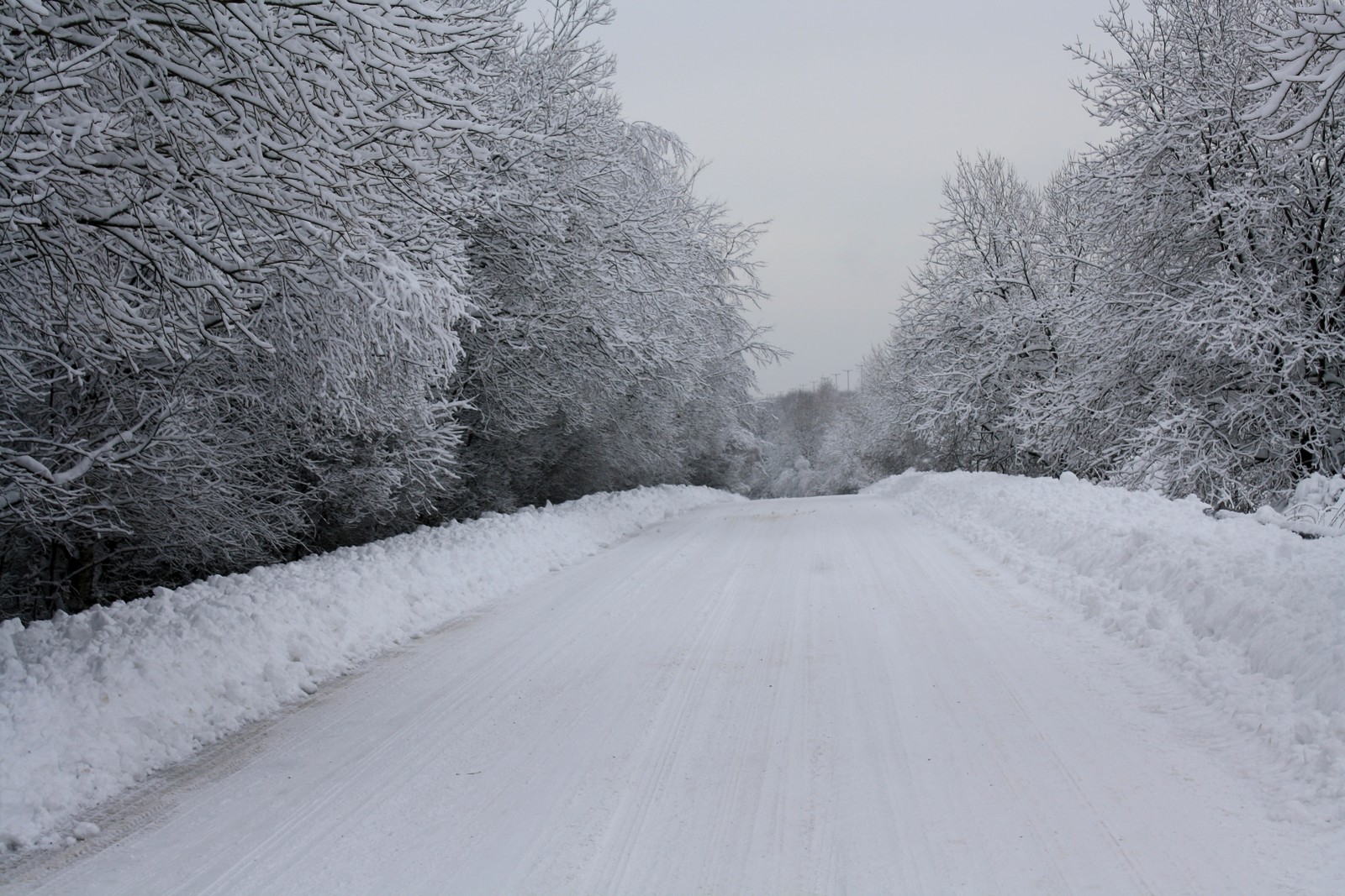 tres bel endroit sous la neige