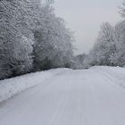 tres bel endroit sous la neige