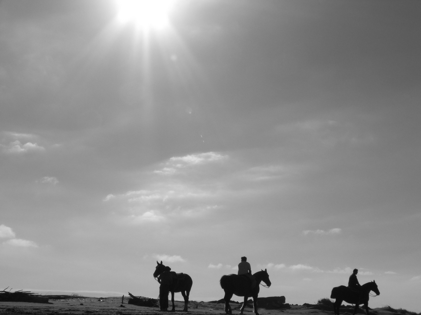 tres caballos