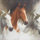 tres caballos